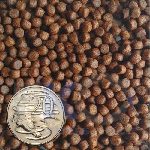 FKC Cichlid Medium Protein & Growth Floating 6mm Pellets Coin