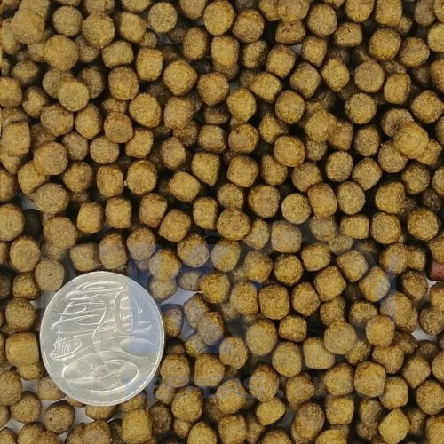 FKC Natural Goldfish & Koi Medium Floating 5-6mm Pellets Coin