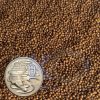 FKC Cichlid Baby Protein & Growth Floating 1.5mm Pellets 100g-16kg - Image 2
