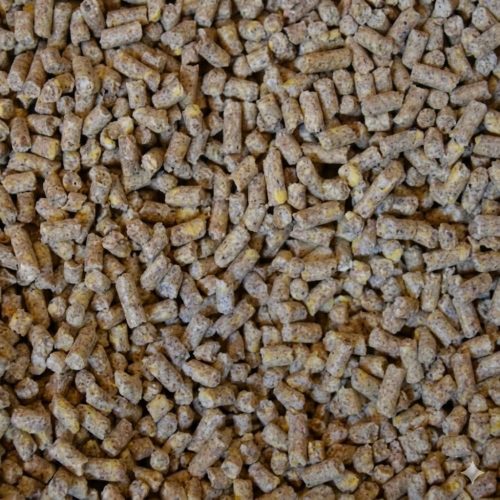 FKC Fishing Burley Pellets 90% Fish, Garlic, Pilchard, Anissed Attractant