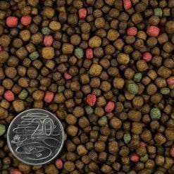 Alternative view of FKC Aqua Goldfish Gold Large Floating Pellets 3-5mm 100g - 10kg