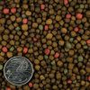 FKC Aqua Goldfish Gold Large Floating 3-5mm Pellets-Coin