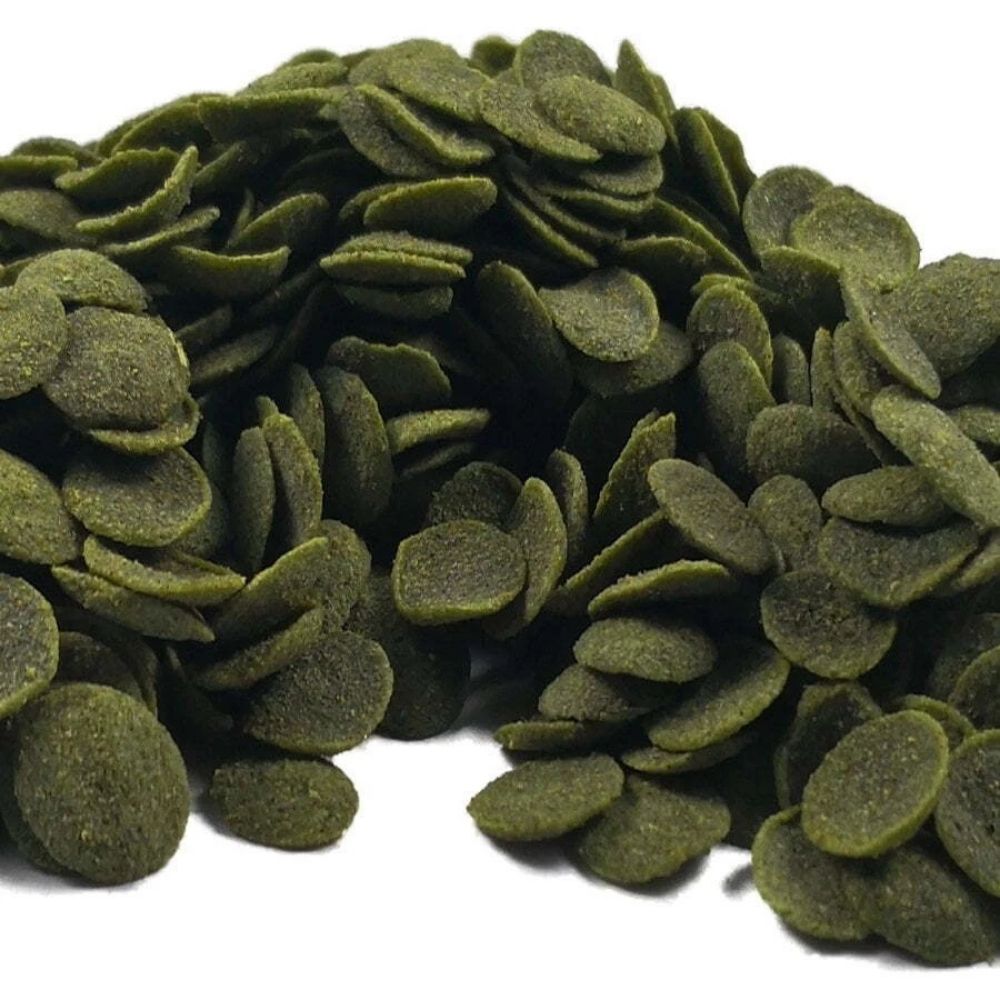FKC Aqua Vege Disc Algae Wafers-Closer
