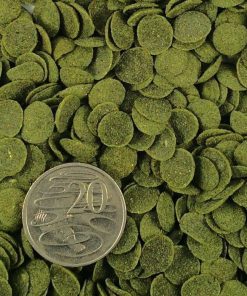 FKC Aqua Vege Disc Algae Wafers-Coin