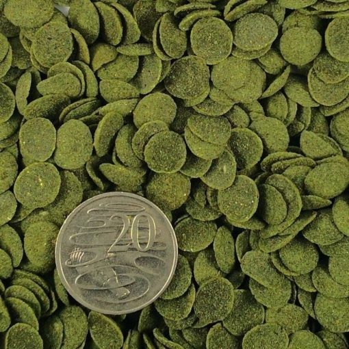 FKC Aqua Vege Disc Algae Wafers-Coin
