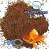 Fish Keepers Choice