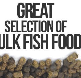 Fish Keepers Choice