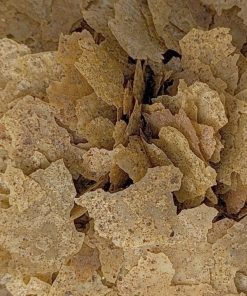 Alternative view of FKC GO Natural Tropical Aquarium Flakes 100g - 5kg