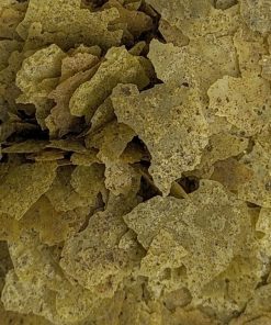 Alternative view of FKC GO Natural Cichlid Aquarium Flakes 100g - 5kg