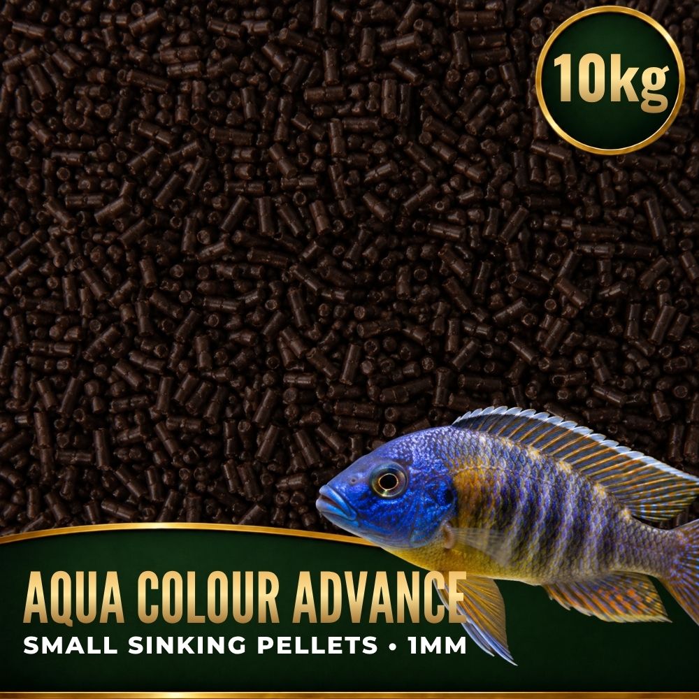 FKC Aqua Colour Advance Small Sinking 1mm Pellets 10kg-F