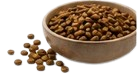 Fish Food