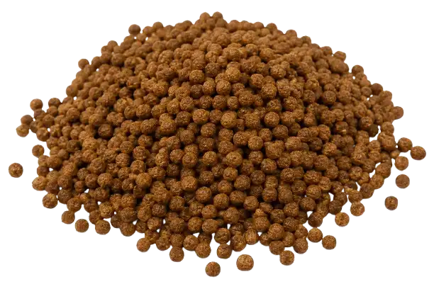 Fish Flakes