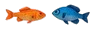 Healthy Fish