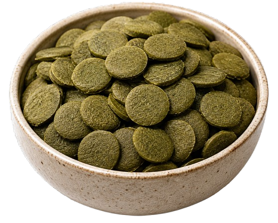 Fish Flakes