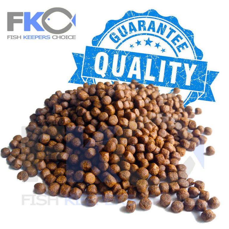 FKC Cichlid Medium Protein & Growth Floating 6mm Pellets 100g-16kg - Image 5