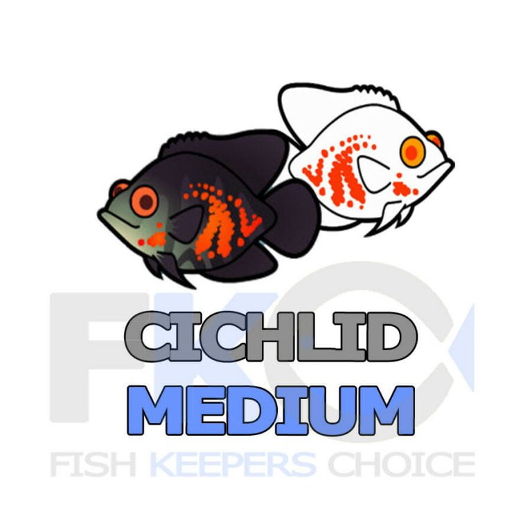 FKC Cichlid Medium Protein & Growth Floating 6mm Pellets 100g-16kg - Image 6