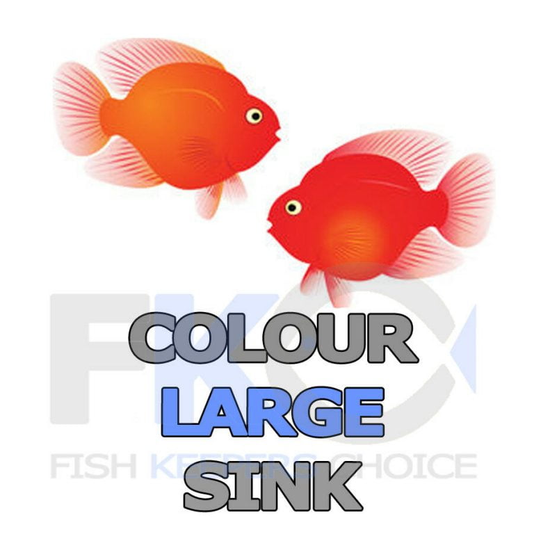 FKC Cichlid Colour Large Sinking 5mm Pellets 100g-16kg - Image 6