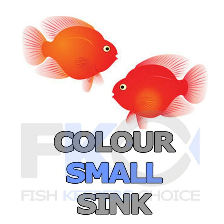 FKC Cichlid Colour Baby Sinking 1mm Pellets 100g-16kg - Image 6