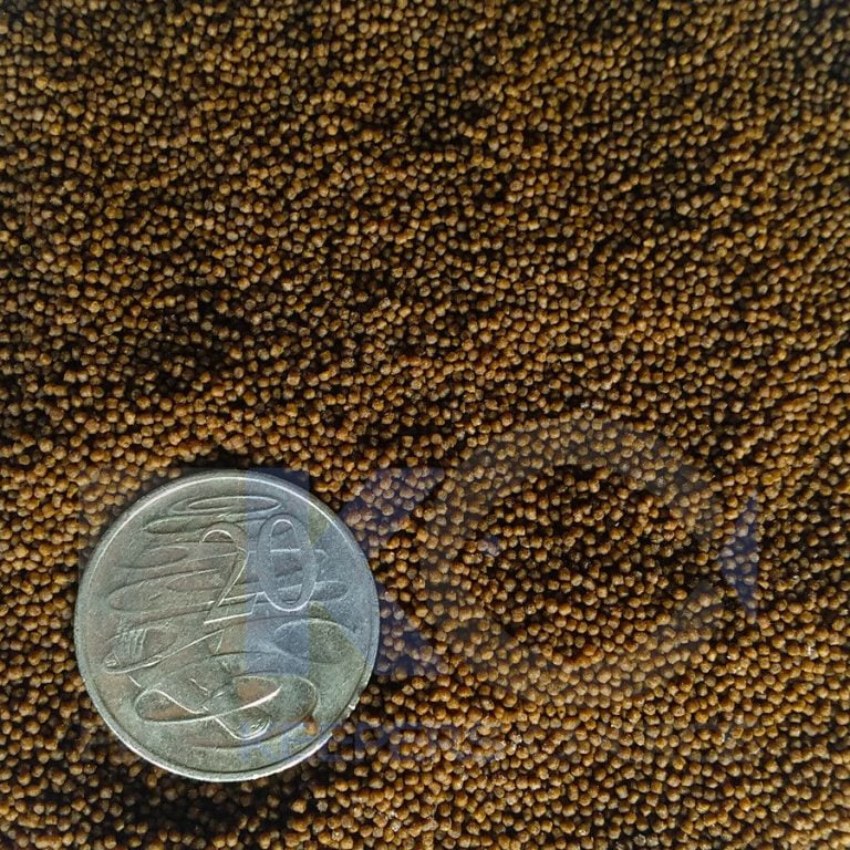 FKC Cichlid micro Protein & Growth Sinking 0.8mm Pellets 100g-16kg - Image 3