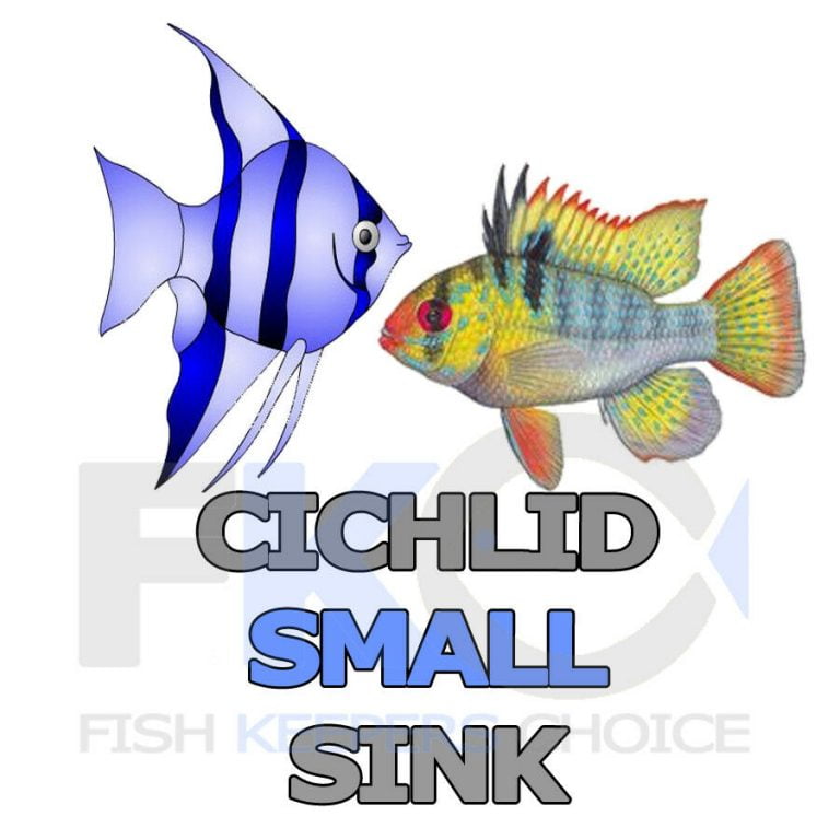 FKC Cichlid Small Protein & Growth Sinking 1mm Pellets 100g-16kg - Image 6