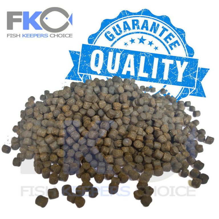 FKC Cichlid Medium Protein & Growth Sinking 3mm Pellets 100g-16kg - Image 5