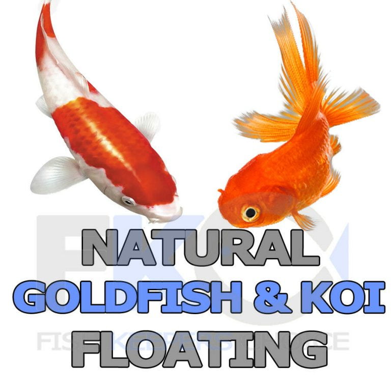 FKC Natural Goldfish & Koi Aquarium, Pond Floating Fish Food Pellets Small 3-4mm - Image 5