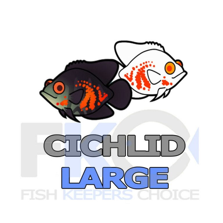 FKC Cichlid Colour Large Floating 8mm Pellets 100g-16kg - Image 6