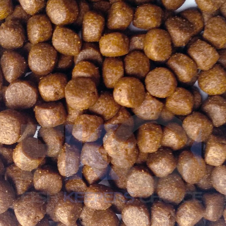 FKC Cichlid Large Protein & Growth Floating 8mm Pellets 100g-16kg - Image 4