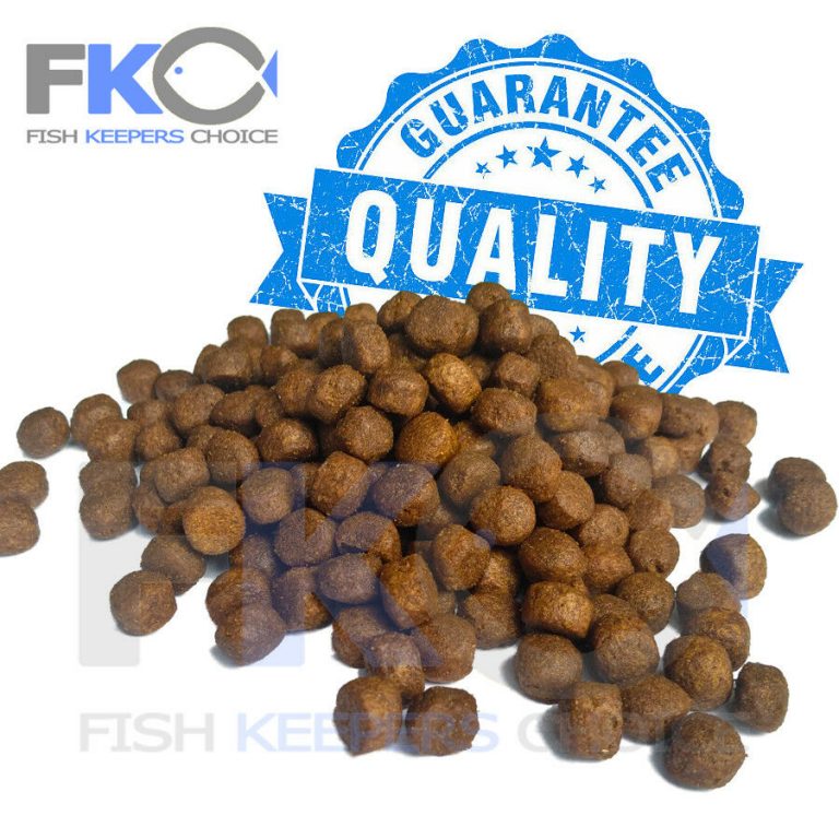 FKC Cichlid Large Protein & Growth Floating 8mm Pellets 100g-16kg - Image 5
