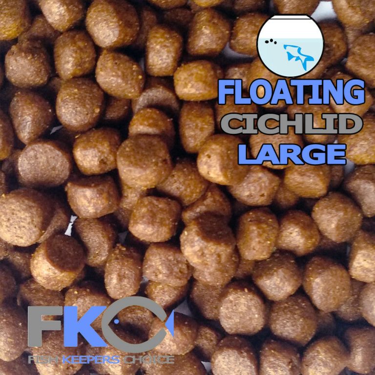 FKC Cichlid Large Protein & Growth Floating 8mm Pellets 100g-16kg