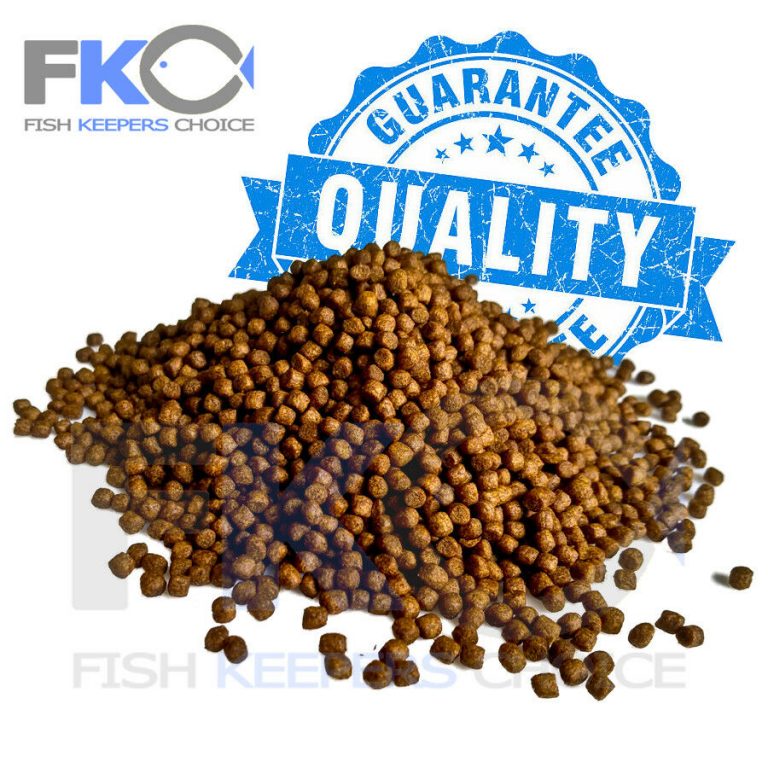 FKC Cichlid Small Protein & Growth Floating 3mm Pellets 100g-16kg - Image 5