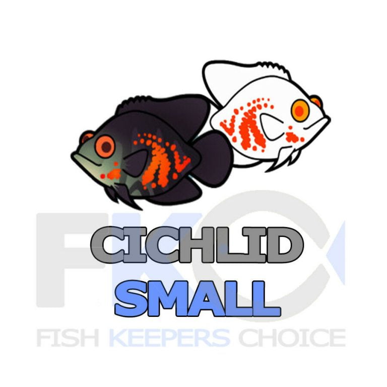 FKC Cichlid Small Protein & Growth Floating 3mm Pellets 100g-16kg - Image 6