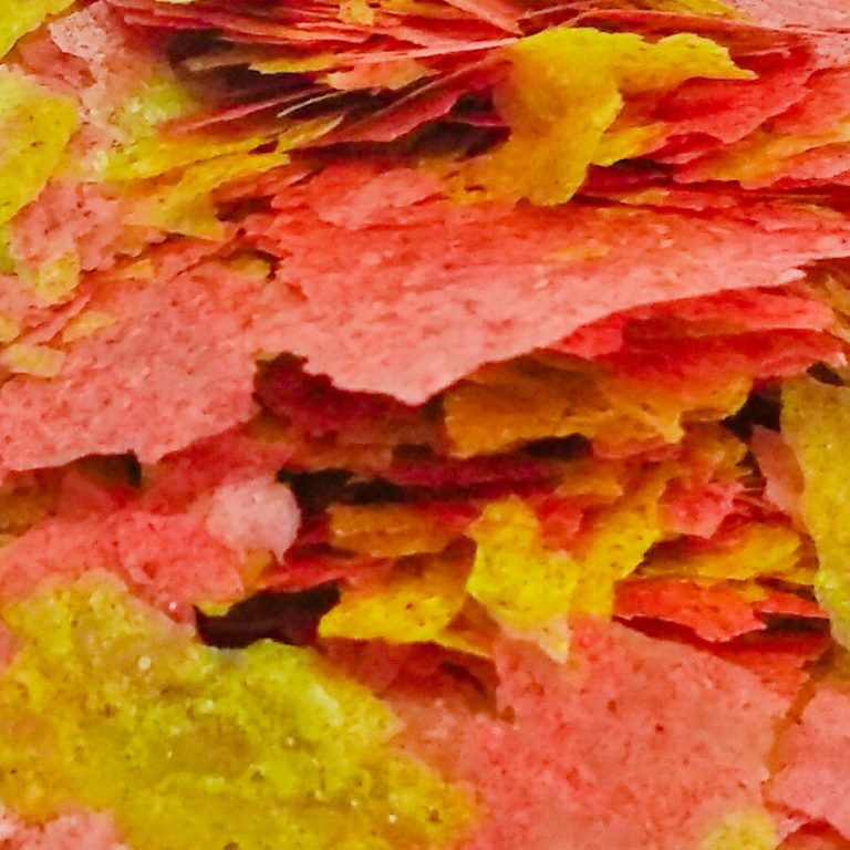 FKC Goldfish Aquarium Flakes 100g-5kg - Image 3