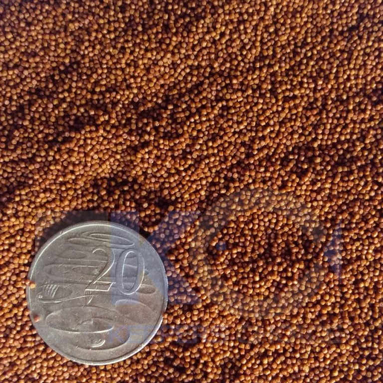 FKC Cichlid Colour Micro Sinking 0.8mm Pellets 100g-16kg - Image 3