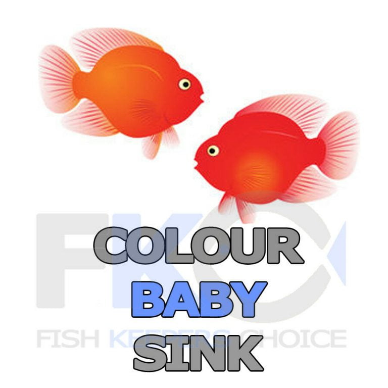 FKC Cichlid Colour Micro Sinking 0.8mm Pellets 100g-16kg - Image 6