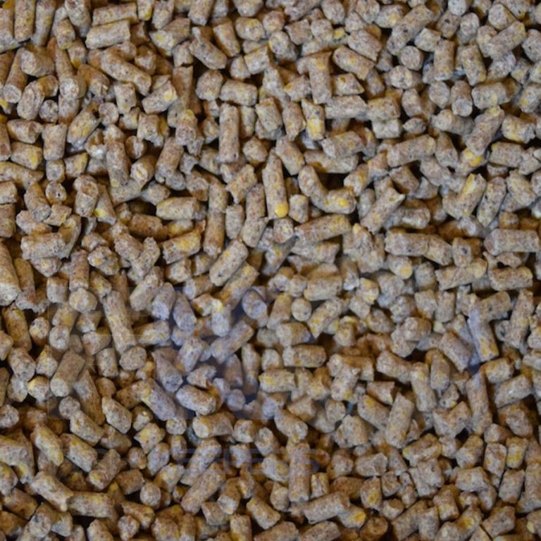 FKC Fishing Burley Pellets 90% Fish, Garlic, Pilchard, Anissed Attractant 1kg - Image 4